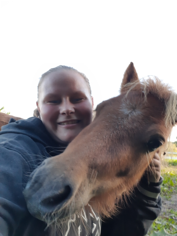 Søger ven/veninder  evt. En med hest