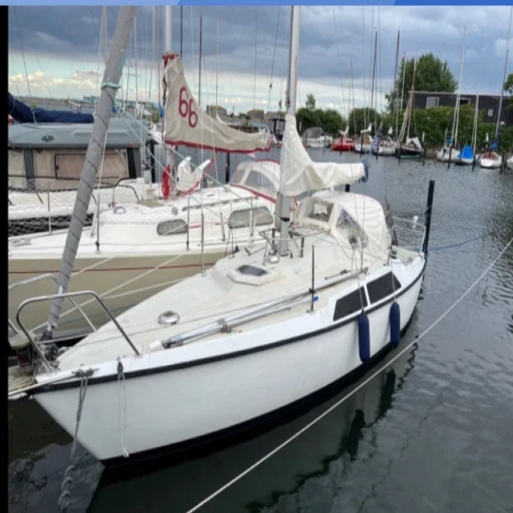Erfaren sejlerbody m/k søges 