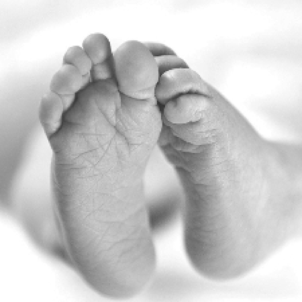 Reserve bedsteforældre gennem Home-Start