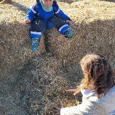 Reservebedste og/eller barnepige 