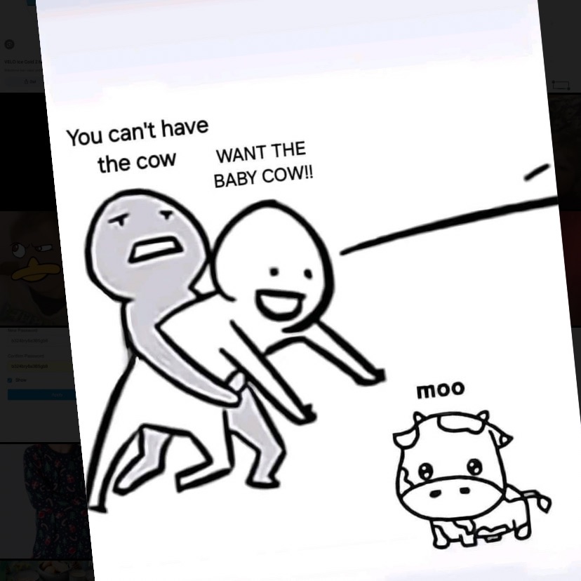 Nye venner og veninder søges