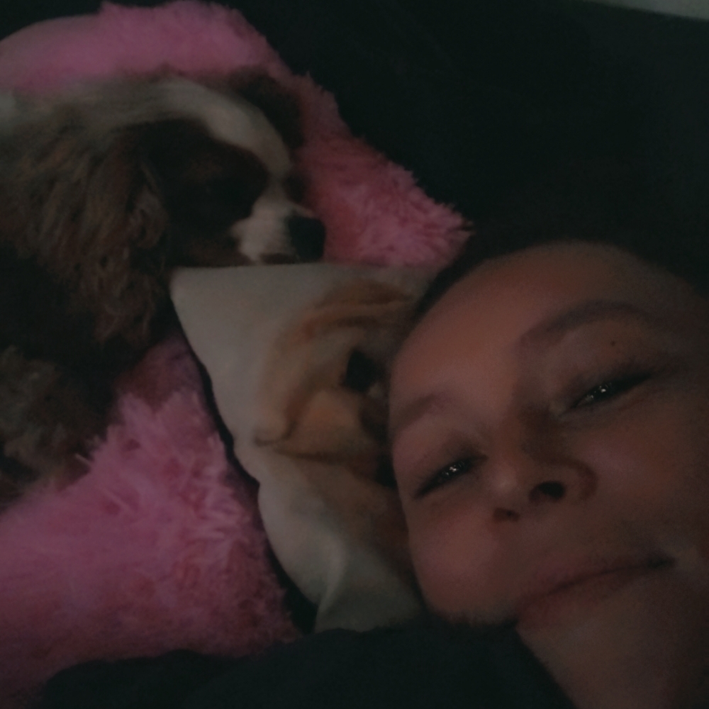 Hundepasning🐕‍🦺