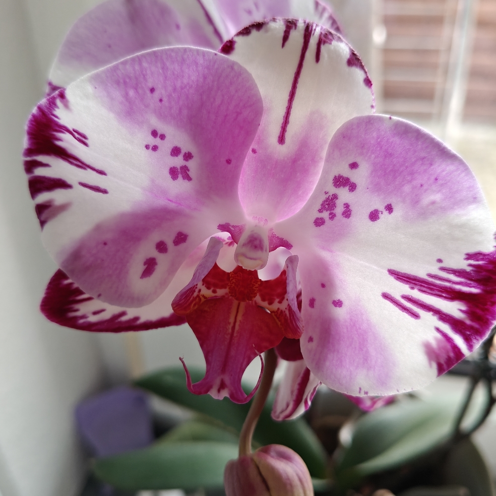 DU er ikke ALENE .....læs mere