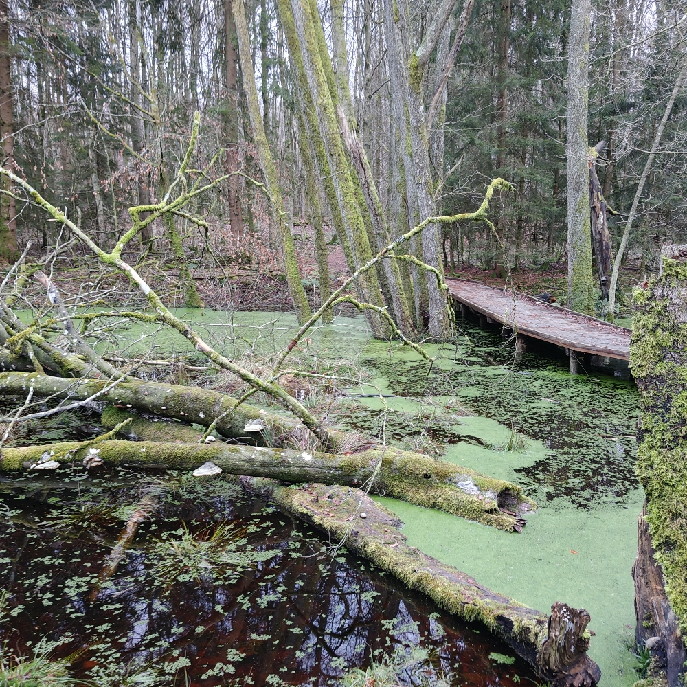 SPRING UD i NYT NETVÆRK FOR M/K🍀