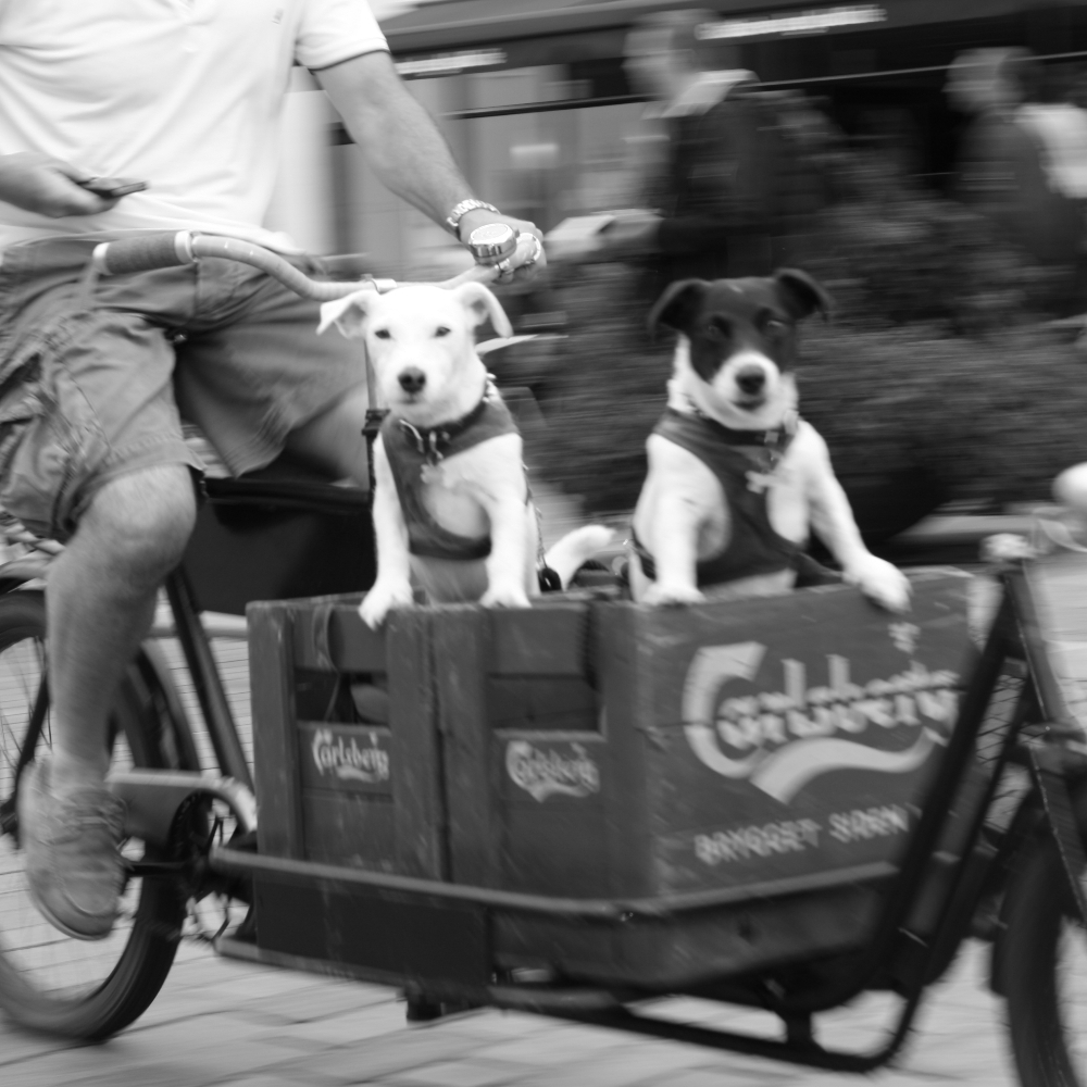 Cykelmakkere Søges VCTA 🚲💚