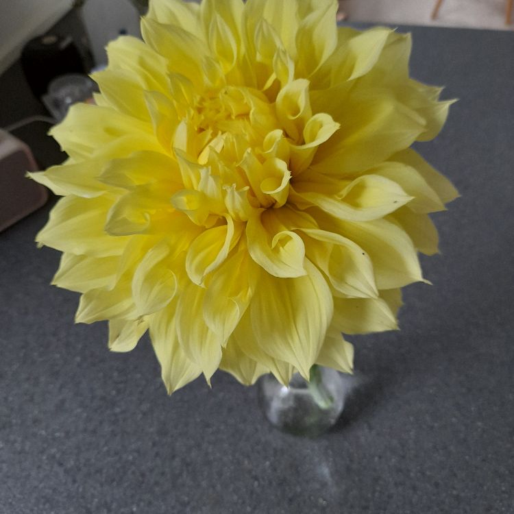 Nye bekendtskaber søges