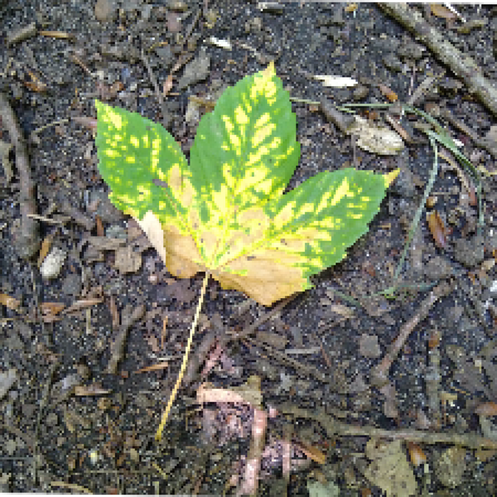 Relationer og gensidig betydning...