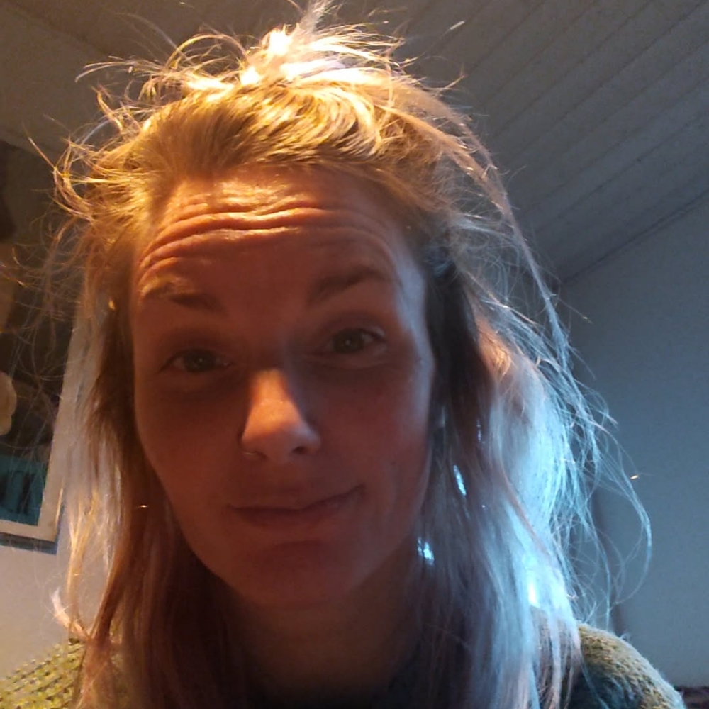 Venner og veninder søges