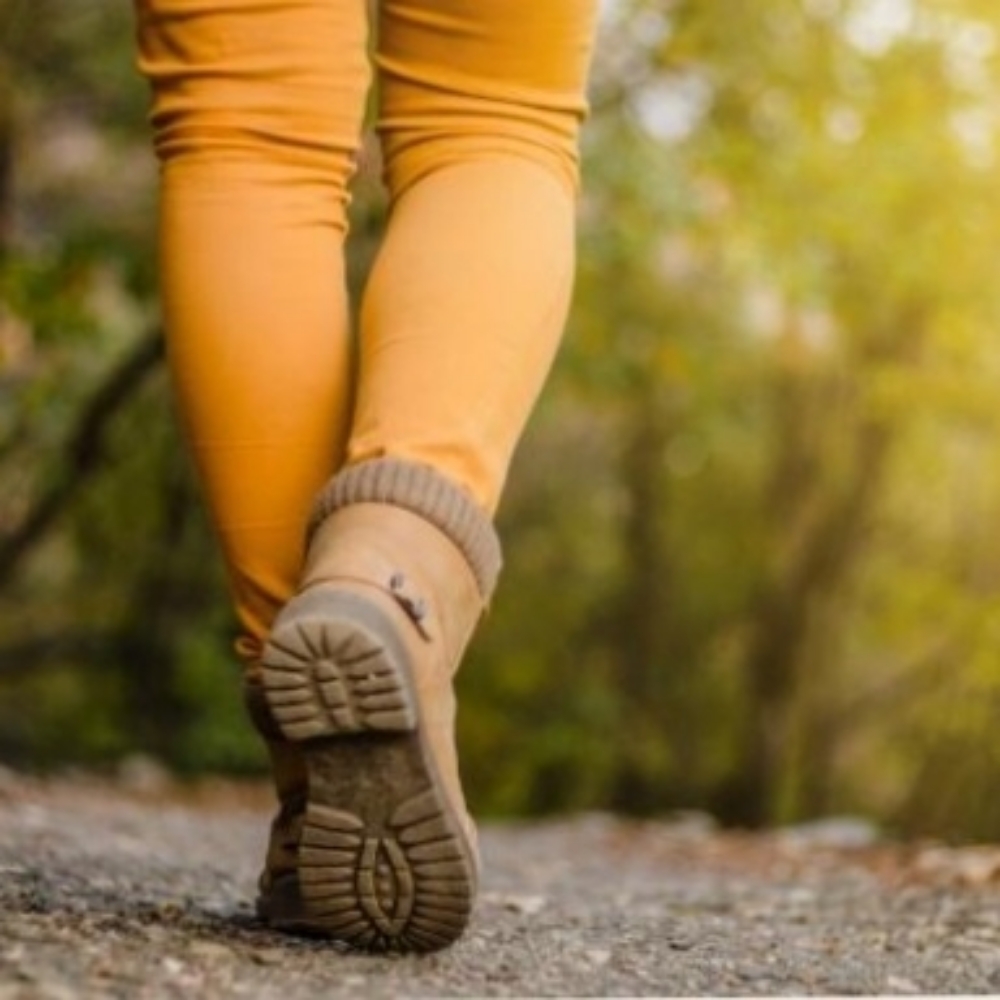 Lille hyggelig gågruppe