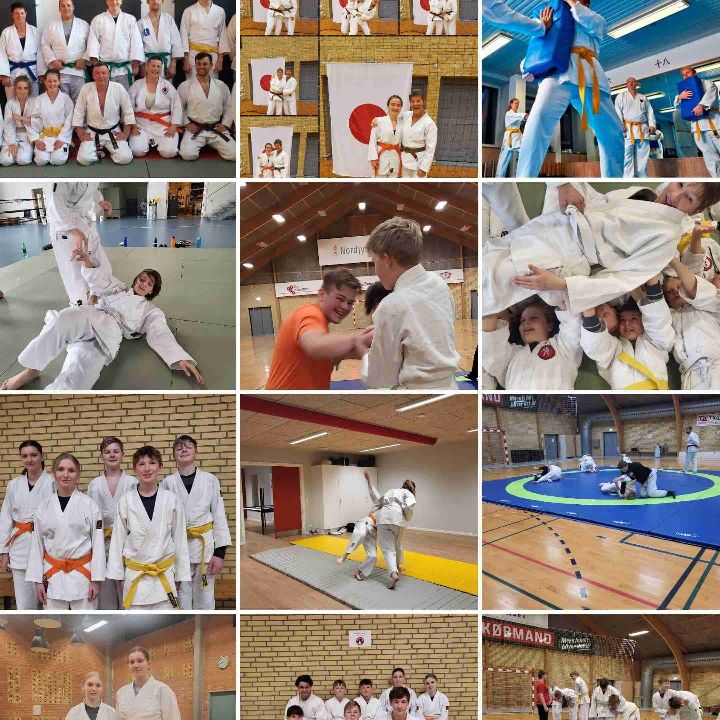 Jiu-Jitsu I hjertet af Vendsyssel