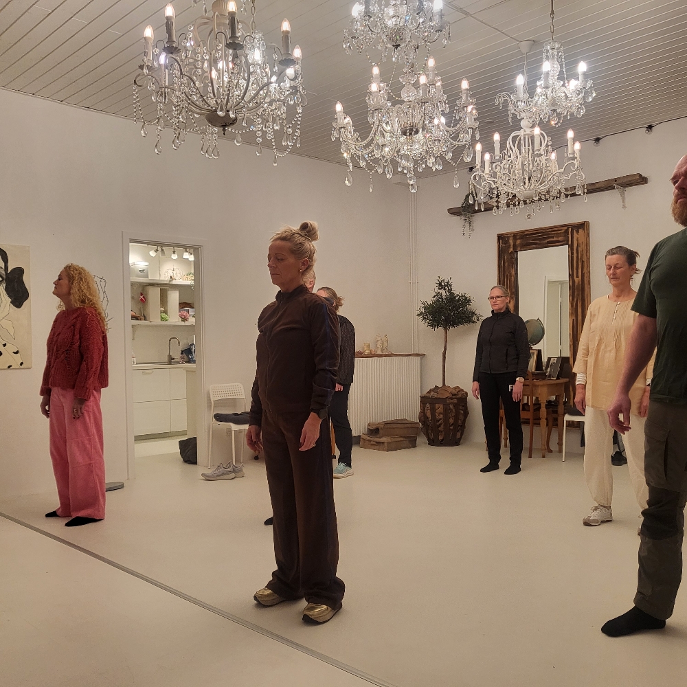 Taichi Qigong for alle sjæle