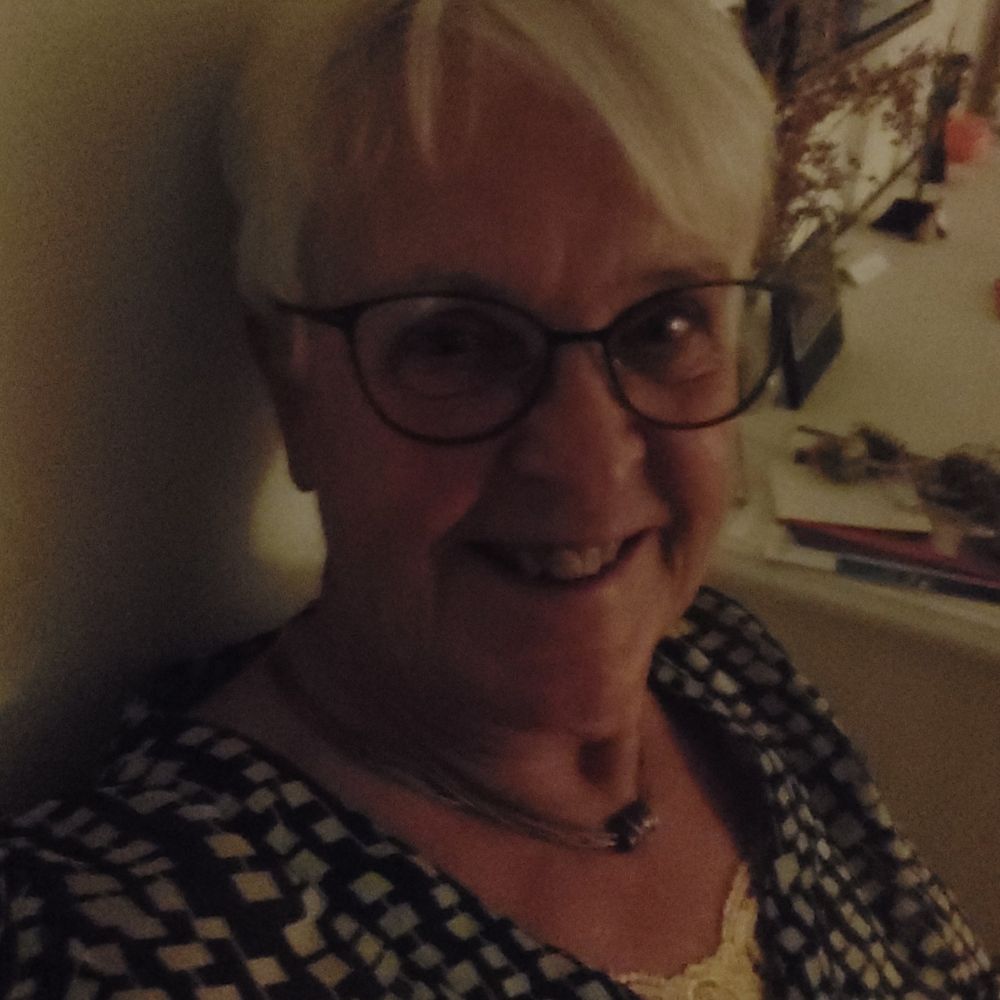 Aktiv pensionist 