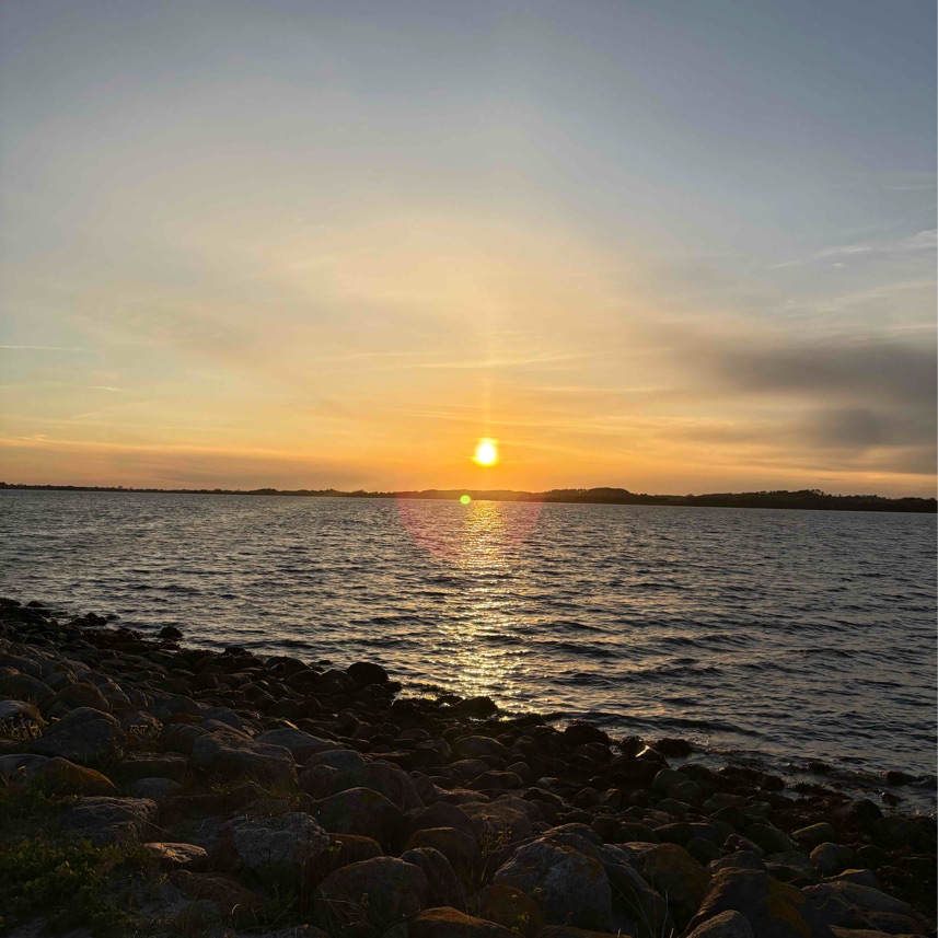 Nytilflytter i Holbæk