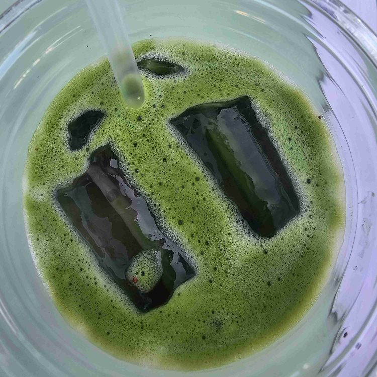 ligesindede sjæle 🌞