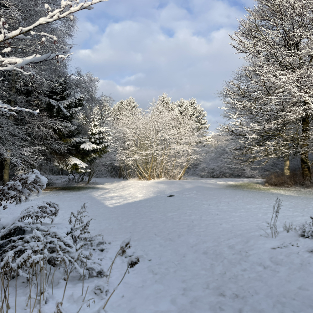 Naturperlen kildebo, Samskabelse