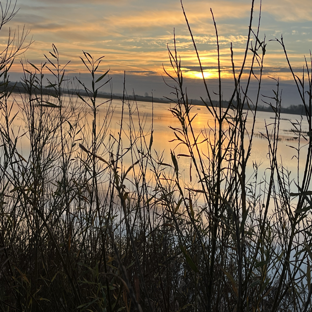 Jordnært par søger ditto / venner 