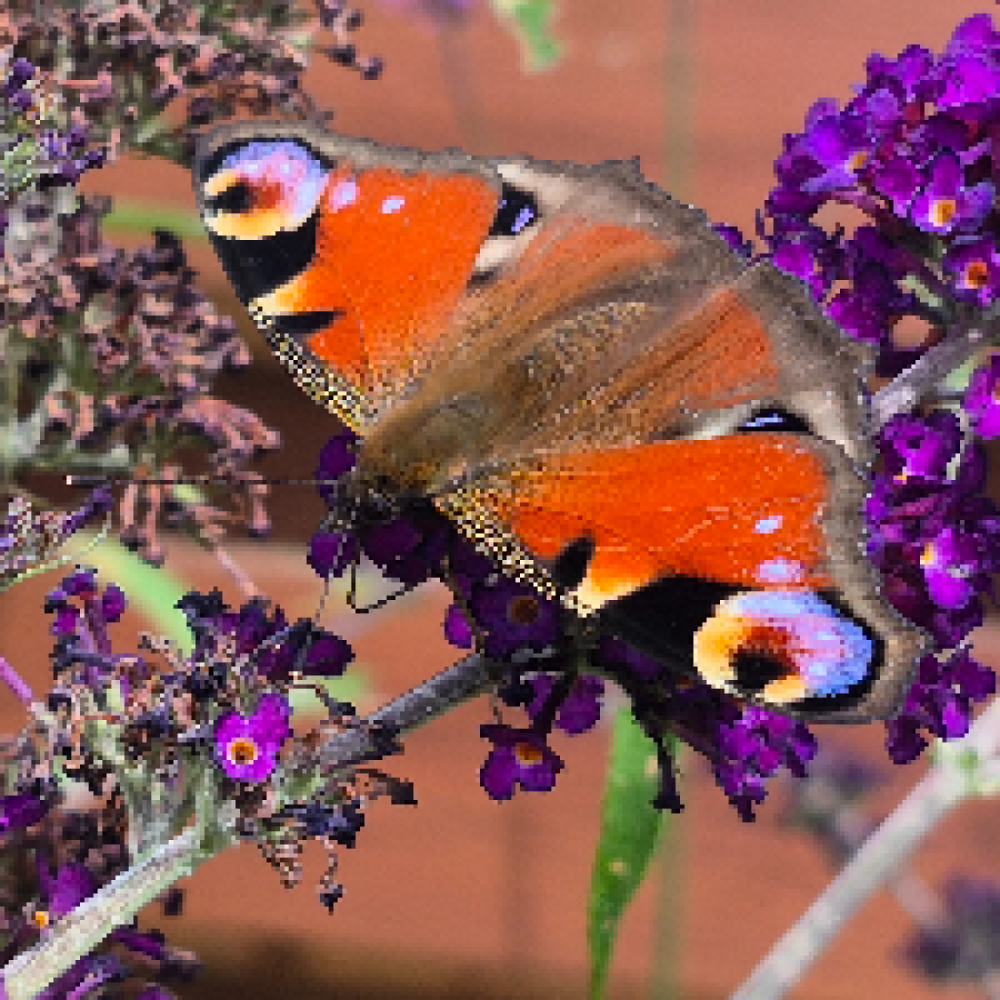 Sammen vær kreative ting snak hygge