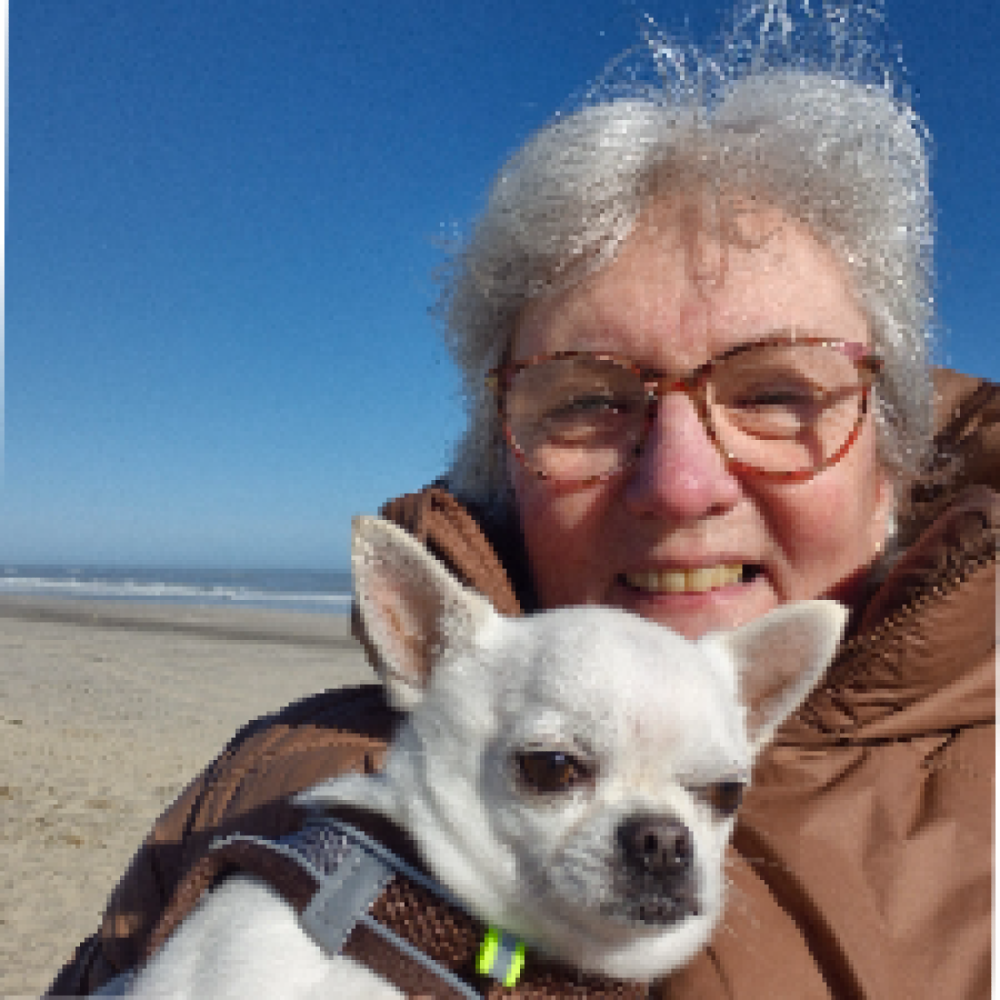 Venskab, med fokus på ture med hund