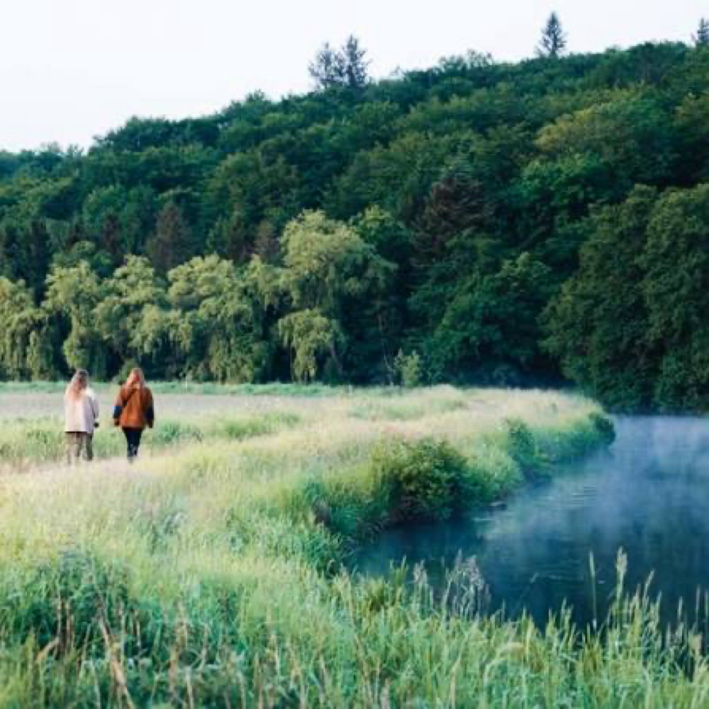 Venner/veninder ud i naturen