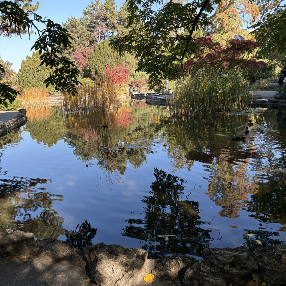 Aktier, økonomi sparringspartner(e)