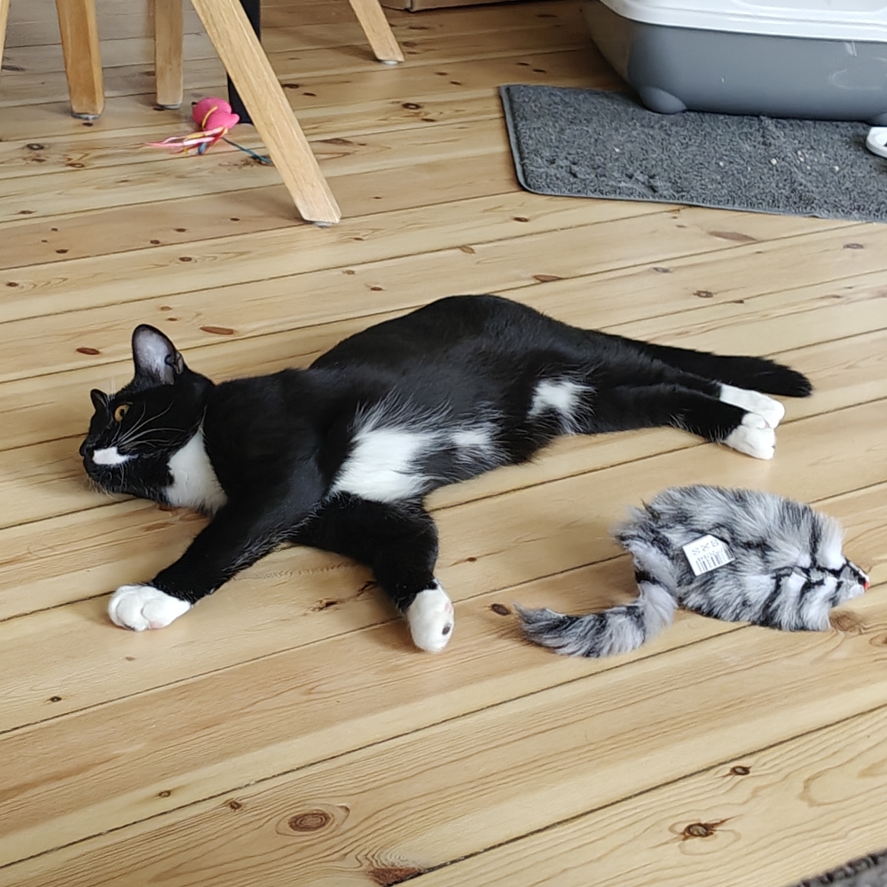 Søger nye venner/bekendte