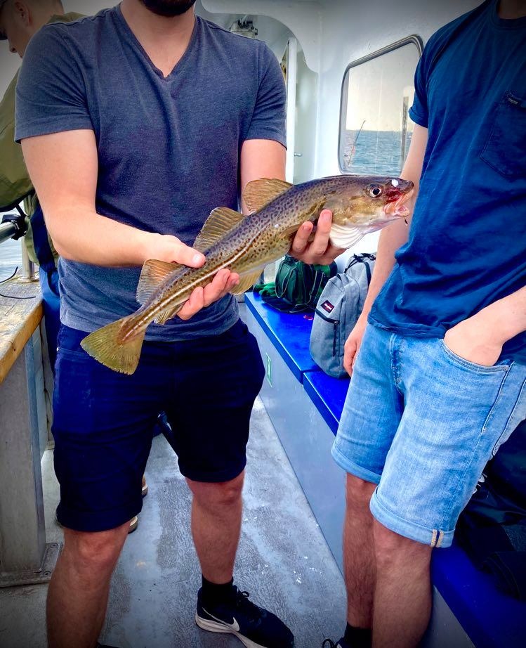 fiske makker søges eller bare skriv