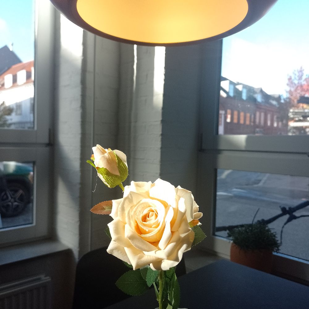 Ro, nærvær og natur 🚶✍️🎨🦋💒🥗