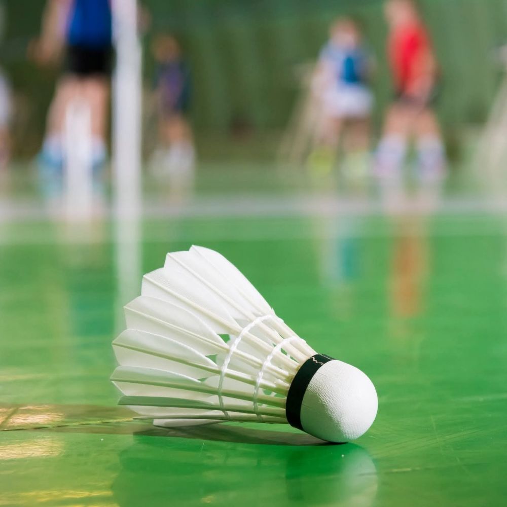 Søger badminton partner