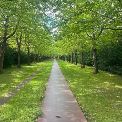 Min kære bror - søger samvær