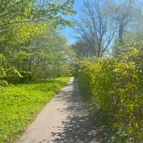 Søger nye bekendtskaber 