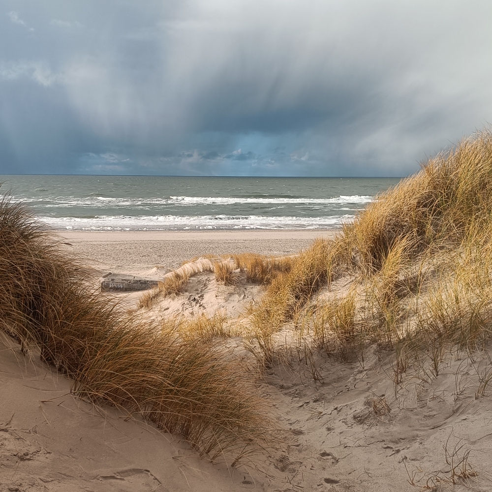 Nye bekendtskaber søges🙂