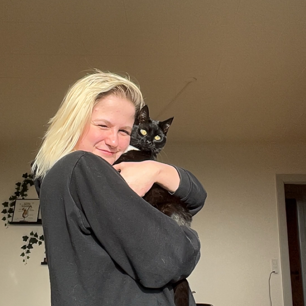 Søger venner og veninder 