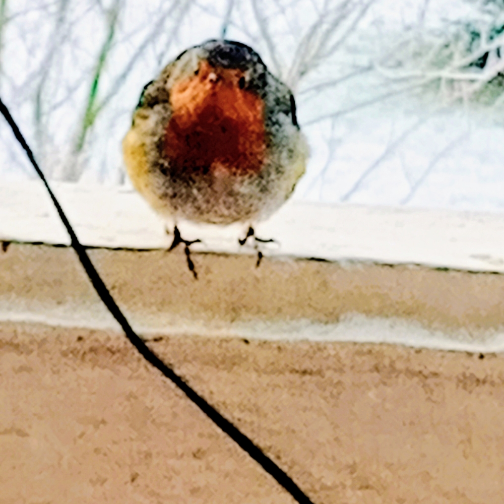 Ensom kreativ glad veninde søges. 