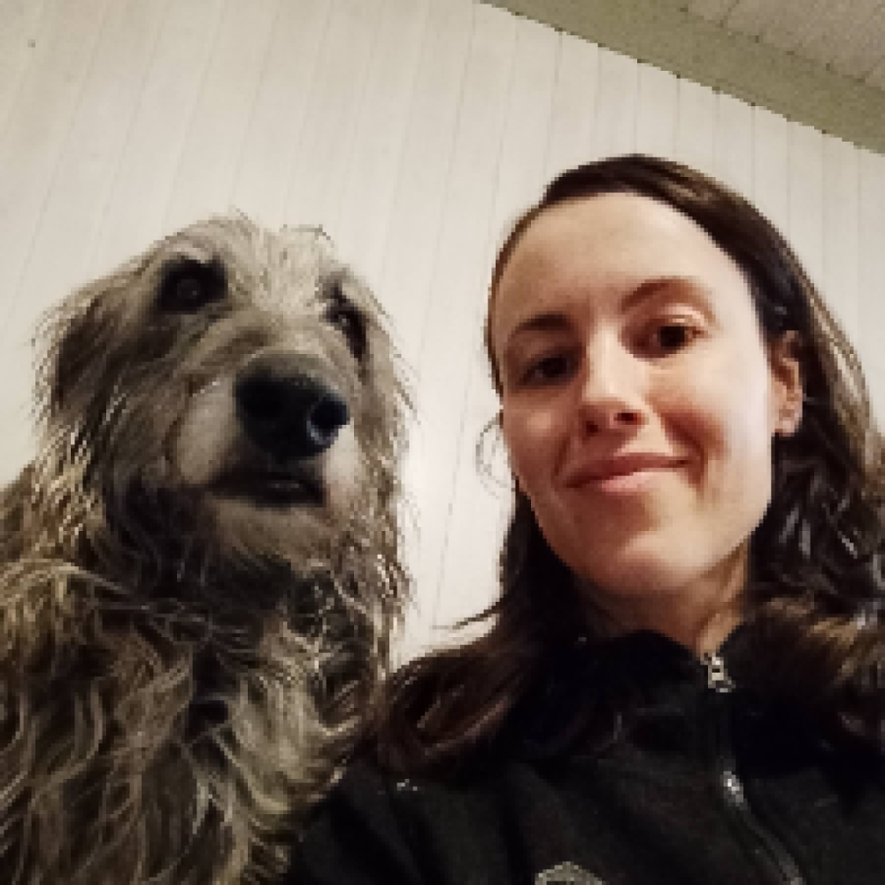 Veninder søges nær Ringkøbing