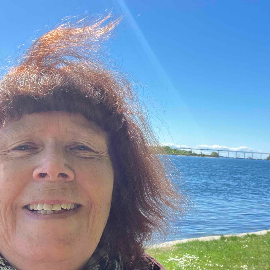 Spil, socialt samvær m.m 50 - 70 år
