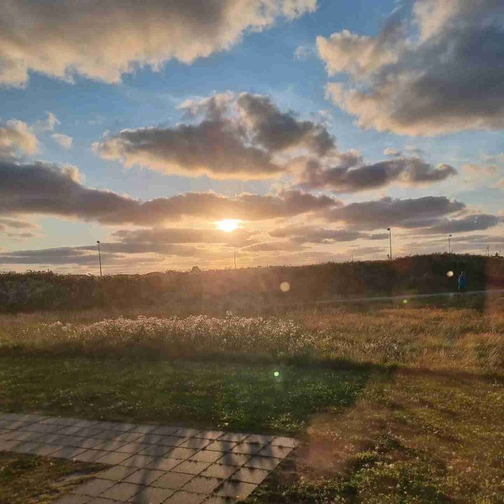 Venner/veninder søges 🥳🌷