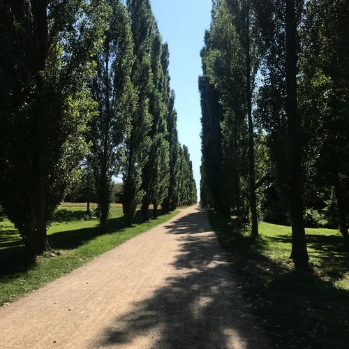 Gå tur ven/veninde søges i Hjørring