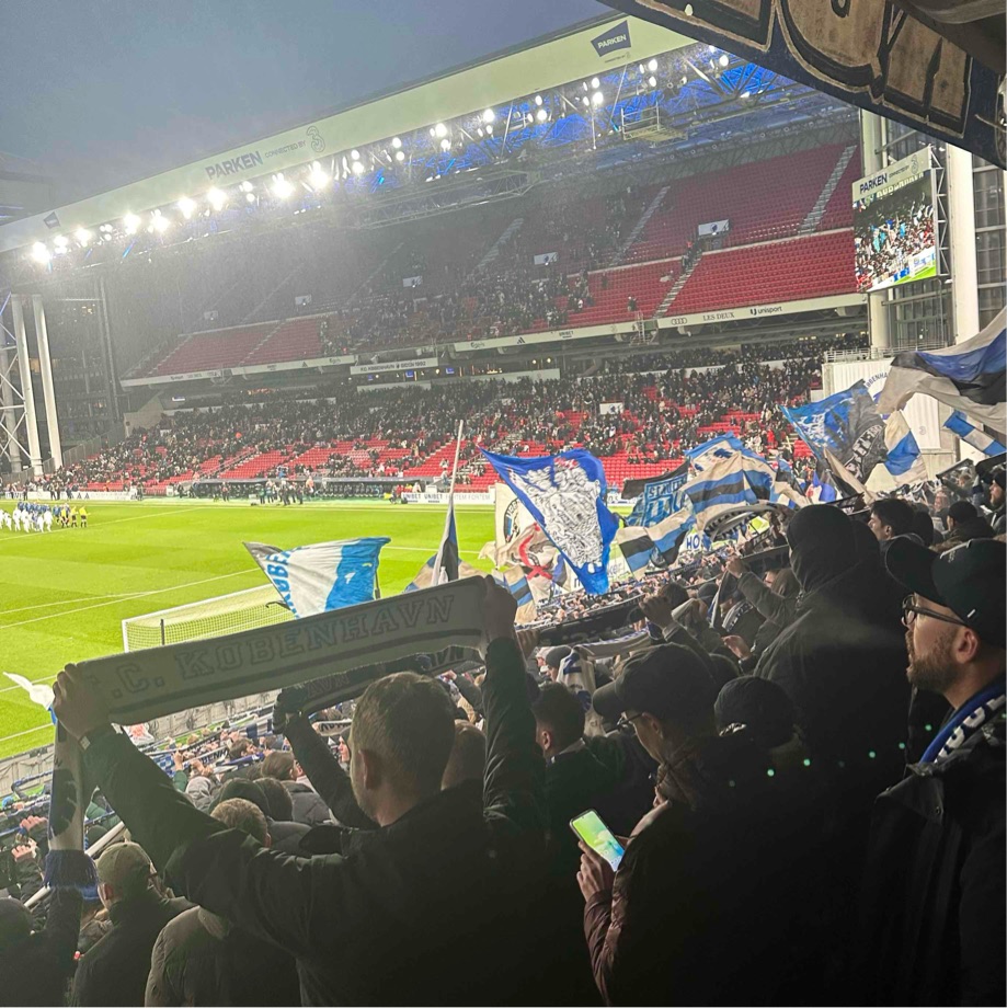 Fast Sektion 12 veninde søges 🦁
