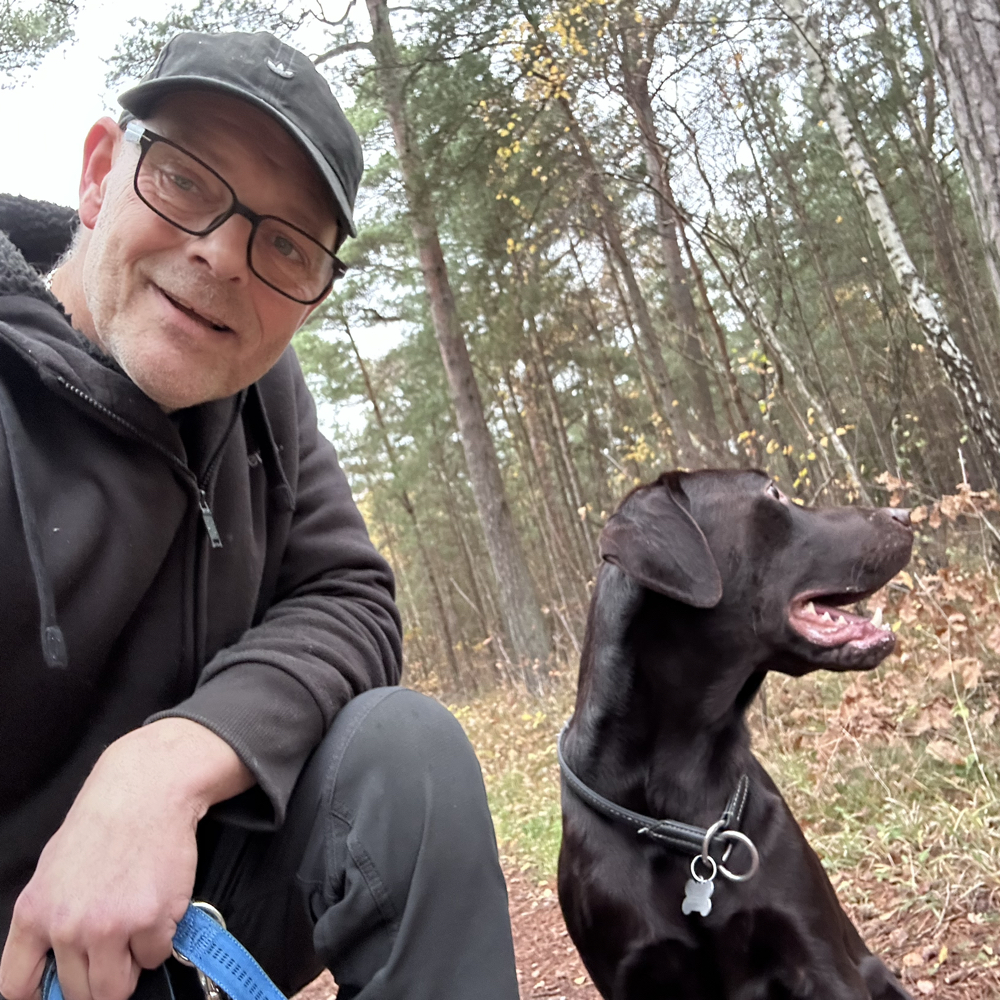 Guitarist M/K søges 