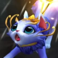 Gaming Duo Partner Søges