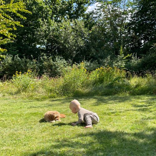 Søger reserve mormor til min søn