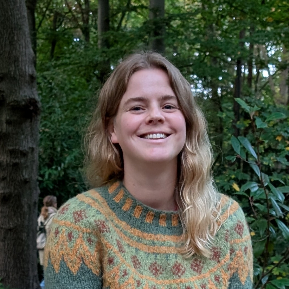 Spille eller skabe musik