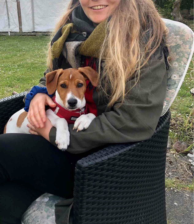 HUNDEHJÆLP SØGES 💚