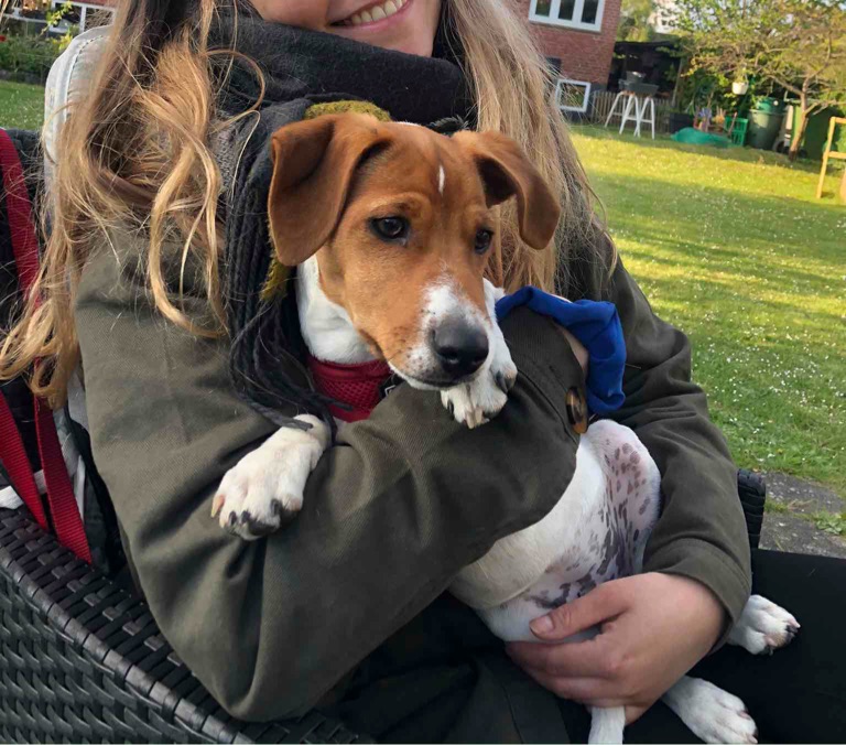 Deleordning søges 🐶❤️