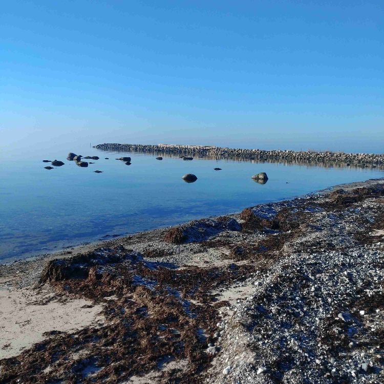 Veninde i Store Heddinge 