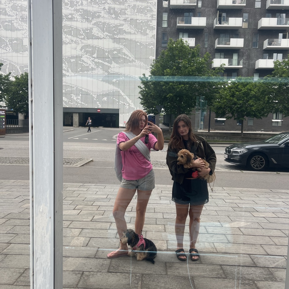 Søger veninder til bogklub