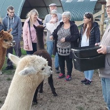 Nordenskov Aktiv og Flid