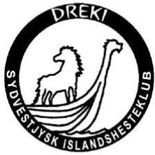 Dreki Vikingerne