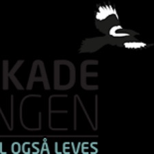 Hjerneskadeforeningen