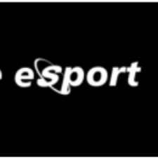 Roskilde e-sport